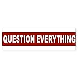 CafePress Question_Everything_Arial_Red 10'x3' Rectangle Bumper Sticker Car Decal