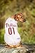 Official MLB Philapelphia Phillies Pet Jersey for Dogs & Cats, Size Small - Stylish Baseball Jersey for Your Furry Fan- Show Off Team Spirit with The Perfect Fan Apparel Gear for Pet, Dog & Cat