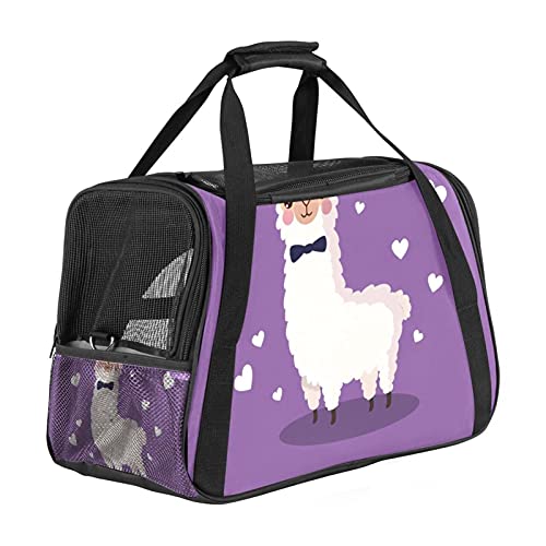 Sac de transport pour chat et chien approuvé compagnies aériennes sans stress - 2