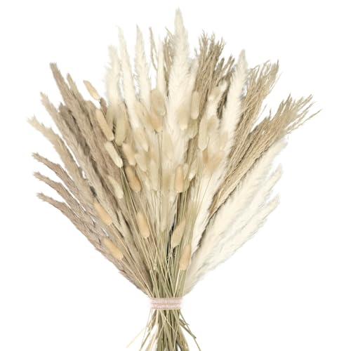 Ramo de Flores secas, Estilo Bohemio, con Colas de Conejo, para Decorar tu hogar, Dormitorio y Sala (Estilo 4)