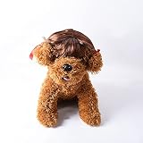 Petyoung 1 perruque élastique pour animal domestique avec frange pour chiens et chats de petite taille
