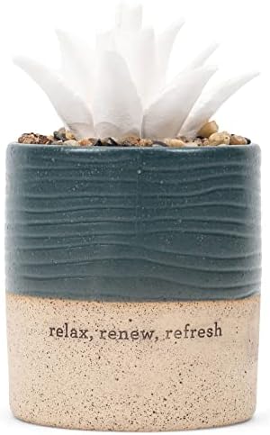 Demdaco Relax Renew Refresh Rich Blue Succulent 3 x 5 Stoneware Decorative Tabletop Oil Diffuser