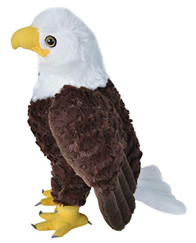Wild Republic Bald Eagle Plush, Stuffed Animal, Plush Toy, Gifts For Kids, Cuddlekins 12 Inches #TOP4