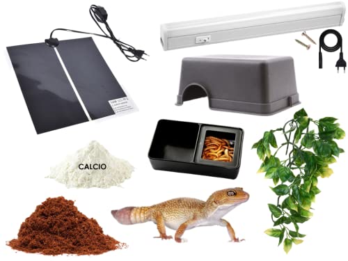 ReptilHábitat - Kit Completo para Gecko Leopardo Set para terrario de Reptiles Cover