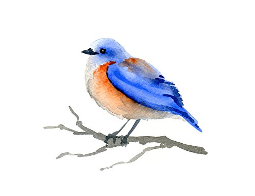 Blue Bird Watercolor Art Print by Artist DJ Rogers