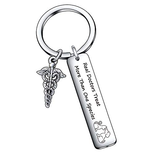 Veterinarian gift for Veterinarian jewelry practitioner gift practitioner keychain practitioner jewelry vet school grad keychain Vet Tech gift DVM gift DVM keychain DVM jewelry Veterinarian keychain