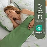 Dreamzie B0FCFY1L9Q lato 2