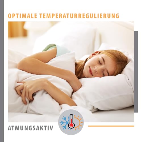 Amazinggirl Ganzjahresdecke Bettdecke 135x200 cm - Bettdecken Duvet Bett Decke Steppdecke Schlafdecke Steppbettdecke Quilt mit Füllung aus Microfaser weiß Oeko-Tex-Zertifikat