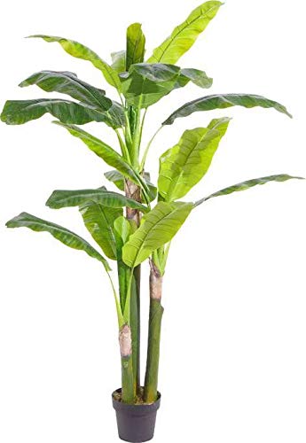 Amerique Gorgeous 5.7' Musa Basjoo Banana Tree Artificial Silk Plant With Uv Protection, With Nursery Plastic Pot, Feel Real Technology, Super Quality, Feet, Green #TOP16