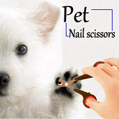 Cortador de unhas de aço inoxidável com cabo de plástico