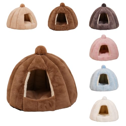 ZekonoLnEX ~p Lpxbh L h[^ xbh  p ybgpQ ۉh  _炩  ~ ^ Lbg lC p xe QNbVt (LJ[,傫TCY 56CM×48CMia×
