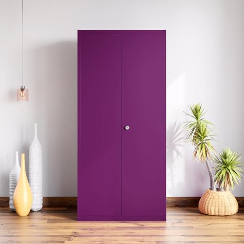 Image of Interio by Godrej Marc 2-Door Steel Almirah (Textured Mulberry), 1-Year Warranty, 1 Locker, 1 Drawer, 5 Shelves