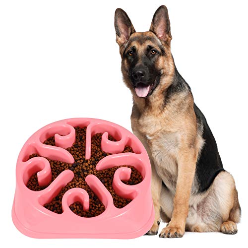 JASGOOD Grand gamelle pour chien avec mangeoire lente, anti-Gulping pour chien et chien anti-ballonnement, respectueux de l'environnement et durable (Rose C-) Cover