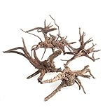 Peut être utilisé pour la décoration de micro-paysage, l'aménagement paysager