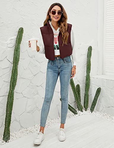 Akewei Women's Outerwear Vests Winter Warm Cropped Puffer Lightweight Sleeveless Coat Padded Zip Up Fashion Jacket (Wine Red,L) #TOP4