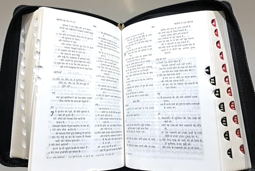 Image of Pocket Bible Small Size Hindi