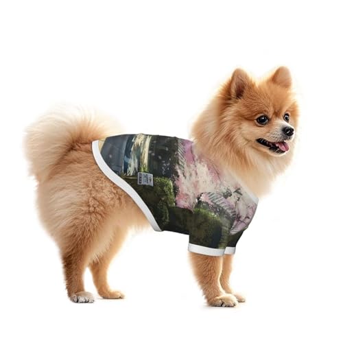   K ԕ a   t ̕ L  ybg TVc ѕ ^  킢 X|[c UoEFA