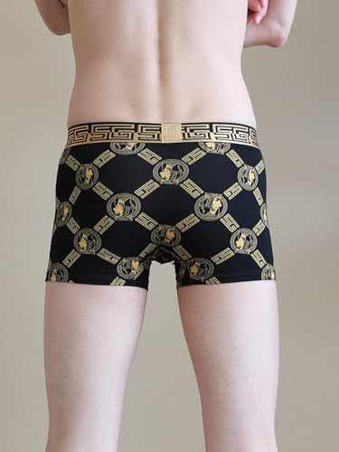 Men’s Underwear Boxer Brief Black & Gold Mixed Color Breathable Soft Comfortable Cotton Stretch Front Underpants for Men 2PCS4