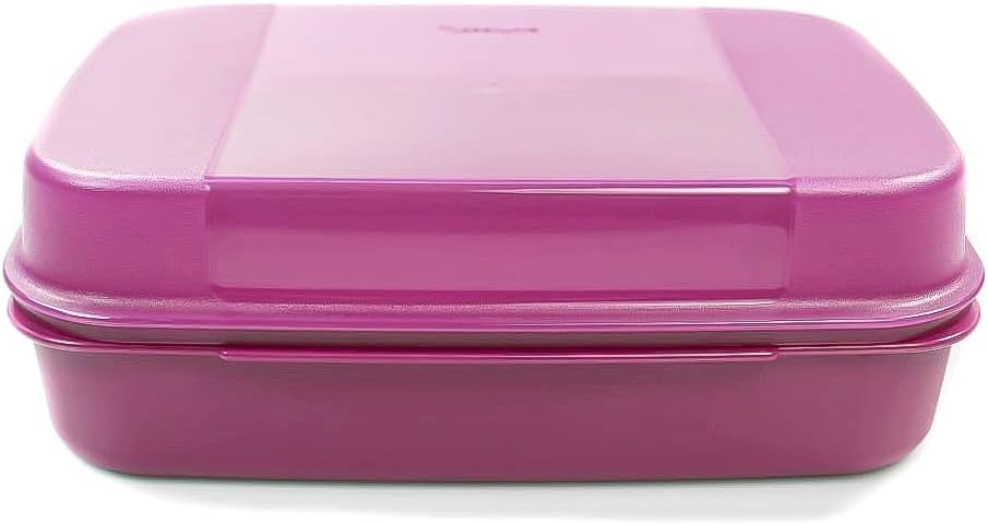 Tupperware Broken kitten 2.5 l blackberry Bellevue Storage in stock Apollo
