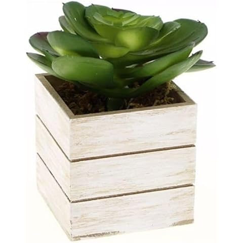 Silumen Plante Artificielle H.12cm Cover