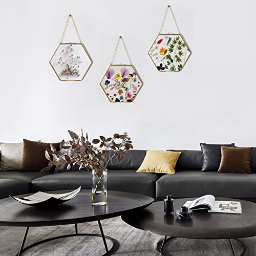 Tlbtek Brass Hanging Photo Frame,9.5 Inch Hexagon Glass Frame For Pressed Flowers,Clear Diy Vintage Artwork Display Frame Wall Mounted Photos Frame #TOP5