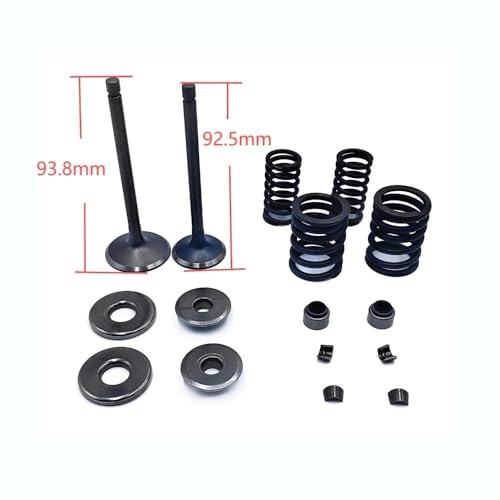 Kit de reconstruction Stels 300B pour restaurer la compression - 2