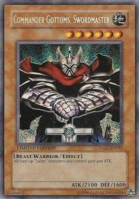 遊戯王OCG IGAS-20TH SECRET RARE GEM MT アウス アジア 遊戯王 アウス