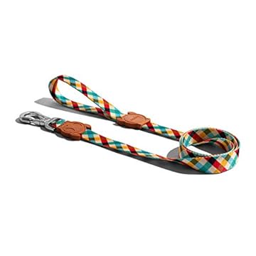 ZEE.DOG | Coleira para cães | Coleira elegante | Coleira macia com gancho que trava para segurança extra. (fantasma, pequena)