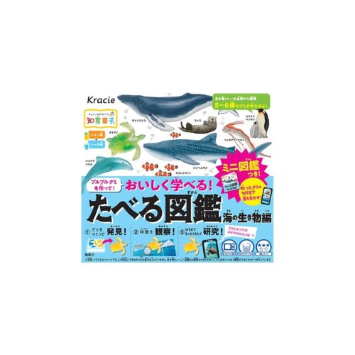 �N���V�G ���ׂ�}�� �C�̐������� 65 �Z�b�g KAMAKURA CAMP ���܂��t��