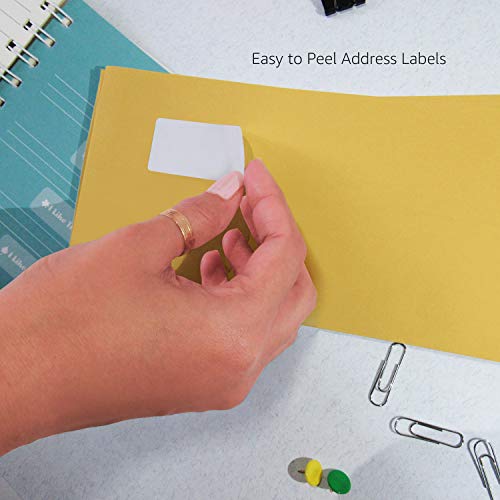 AmazonBasics Address Labels for Laser & Inkjet Printers, 1\" x 2-5/8\", 300-Pack