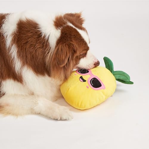 Image of BarkButler x FOFOS Summer Tough Dog Toy Pineapple - Plush & Squeaky Toys for Dogs, Dog Toys for Large Dogs (5-30kgs) - Yellow