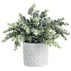 MyGift Artificial Eucalyptus Boxwood Plant in Modern White Concrete Pot with Geometric Embossed Pattern Faux Greenery Potted in Decorative Round Planter