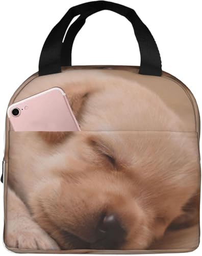 QĂ郉uh[Eg[o[̎q ۗ⃉`obO ٓ 킢 e ܂ y RpNg fMA~V[g |Pbgt g[gobN