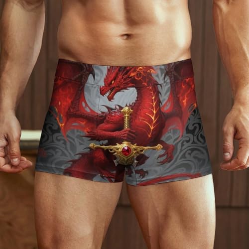 Mens Drawstring Bikini Briefs Bathing Suit2