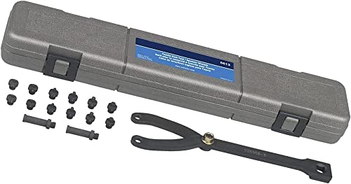 Adjustable Cylinder Spanner Wrench Set - 15-Piece Kit with Variable Pin Spanner Wrench and 1/2