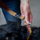 vitazoo Hundeleine in braun, solide und in 4 Längen verstellbar - geeignet für große und Starke Hunde - Hundeleine, Doppelleine - Gesamtlänge 2m