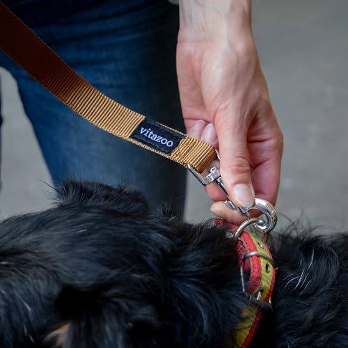 vitazoo Hundeleine in braun, solide und in 4 Längen verstellbar - geeignet für große und Starke Hunde - Hundeleine, Doppelleine - Gesamtlänge 2m