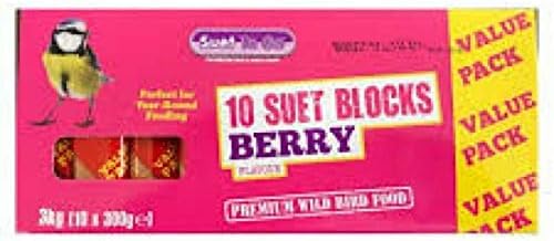 Suet To Go Berry Suet Block Wild Bird Treat 10 X 300 G Amazon Co Uk Garden Outdoors
