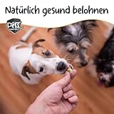 Pets Protect Veggie Snack 150 g | Vegane Leckerlis aus Gemüse & Früchten | Getreidefrei | Ohne künstliche Zusätze | Leckerli für große & kleine Hunde & Welpen | Deutsche Herstellung