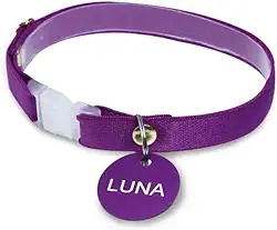 Coleira personalizada com nome e telefone Gatos PETS (Roxo, Filhote (14 cm a 24 cm))
