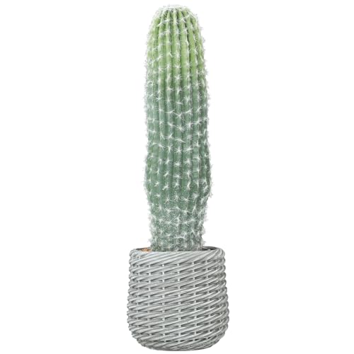 HOMCOM Cactus Artificial 66 cm, Planta Artificial Decorativa con Maceta, para Decoración del Interior, Hogar, Oficina, Salón, Verde