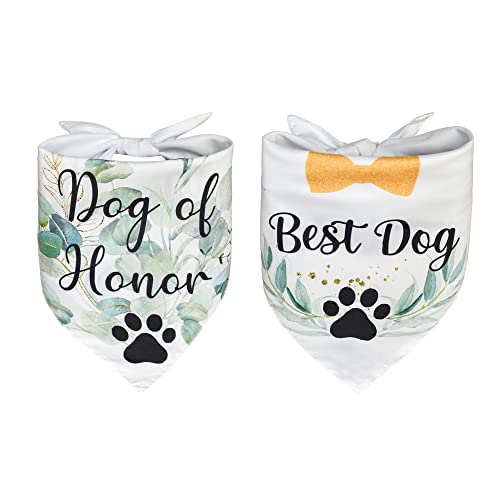 Avoin Colorlife Eucalyptus Leaves Bow Tie Pet Bandana 2 Pcs, Adjustable Wedding Party Holiday Triangle Reversible Dog Cat Scarf For Small Medium Large Dogs #TOP8