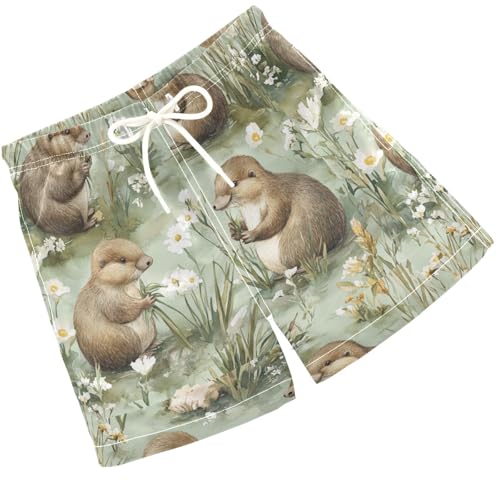Pigsaly Boys' Swim Board Shorts Australian Animals Brown Platypus Boy's Swim Trunks Kids Swimwear S