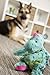 goDog Bubble Plush Dragons Squeaky Dog Toy, Chew Guard Technology - Turquoise, Large
