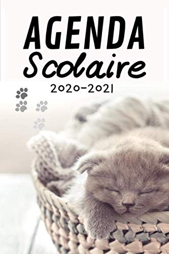 Télécharger Agenda Scolaire 2020-2021: Agenda Chat | semainier | primaire collège lycée | objectifs | Emploi d livre En ligne