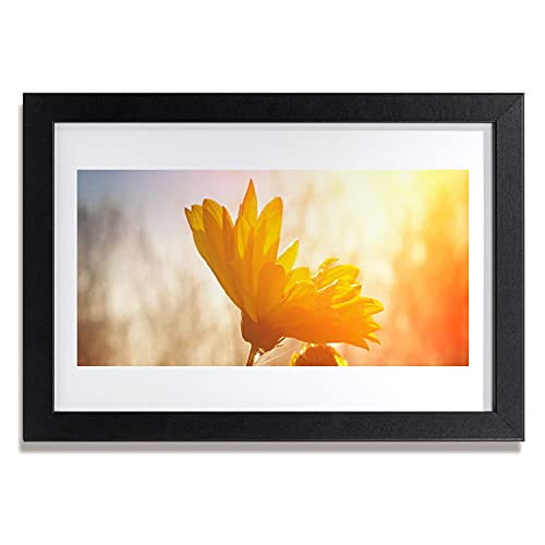 Cadre photo tournesol 30x20 pour une ambiance ensoleillée dans votre salon ou cuisine