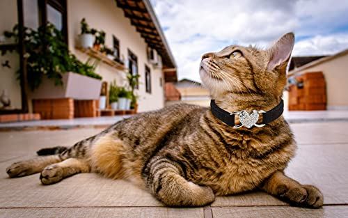 WDPAWS Heart Bling Cat Collar with Safety Belt and Bell Adjustable 8-10 inches for Kitten Cats (Black) - Image 7