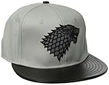 Game of Thrones Men's Stark Metallic Patch Flat Brim Snap Back, Light Grey, One Size