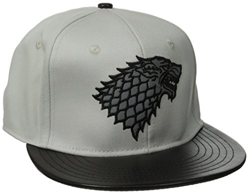 Game of Thrones Men's Stark Metallic Patch Flat Brim Snap Back, Light Grey, One Size