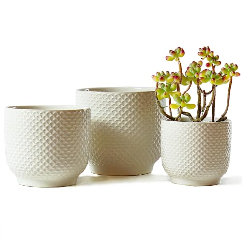 Homephyte 4+5+6 Inch Stoneware Set